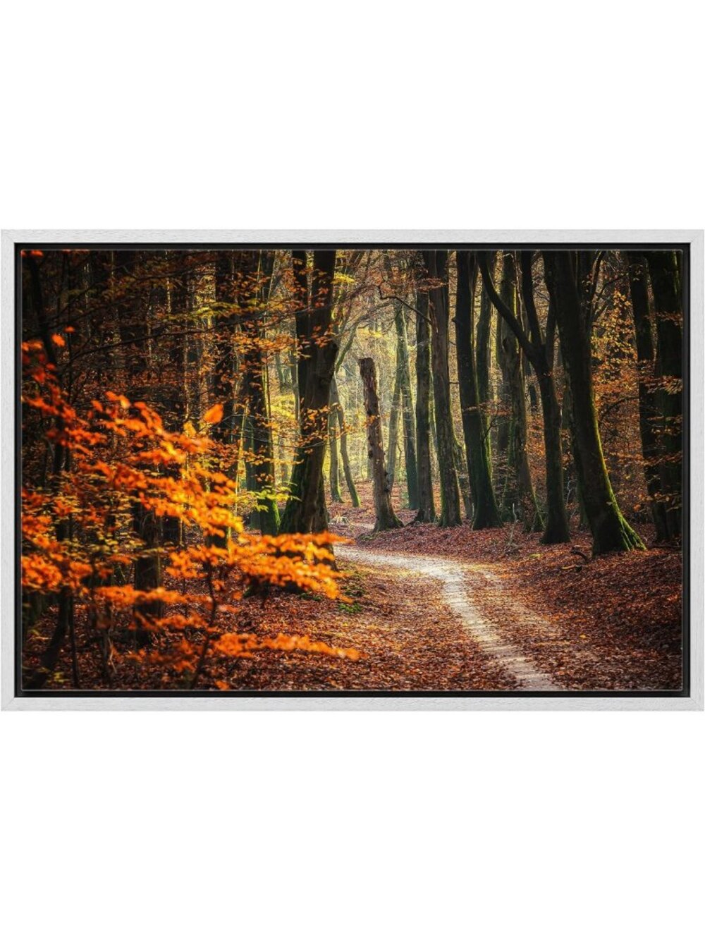 Framed Canvas Print Autumn Forest Wall Art - Orange Leaf Nature Photography